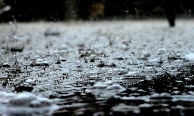 Torrential Rains In Kafinad, Growers Panic
