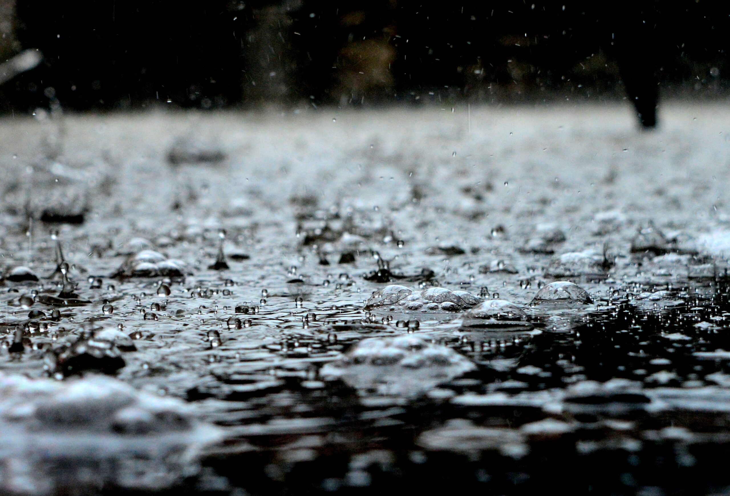 Torrential Rains In Kafinad, Growers Panic