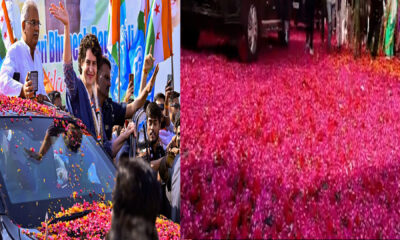 Rose petal welcome for Priyanka Gandhi and other Congress leaders at AICC General Session in Chhattisgarh.