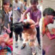 A Young Japanese Woman Harassed During Holi Celebrations in Delhi