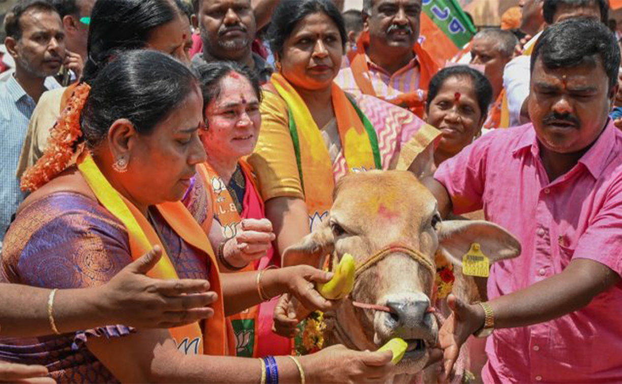 BJP Protests Minister's Comment on Cow Slaughter in Karnataka: Siddaramaiah's Response