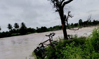 14 Indian States Demonstrate Enhanced Flood Resilience, Study Finds