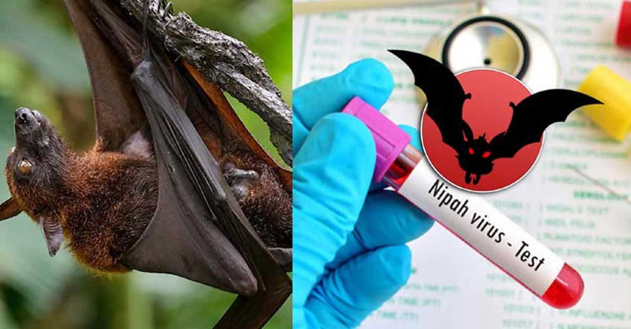 Kozhikode on Alert as Suspected Nipah Virus Cases Emerge