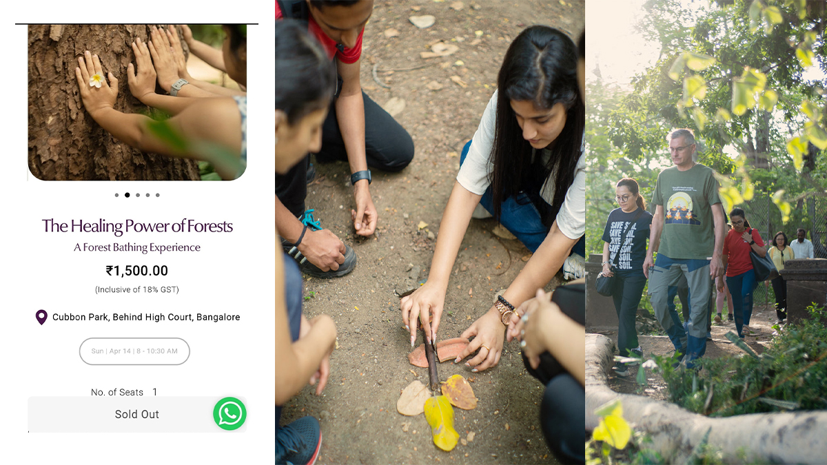 Bengaluru Firm: Rs 1,500 'Forest Bathing' at Cubbon Park - Viral Post